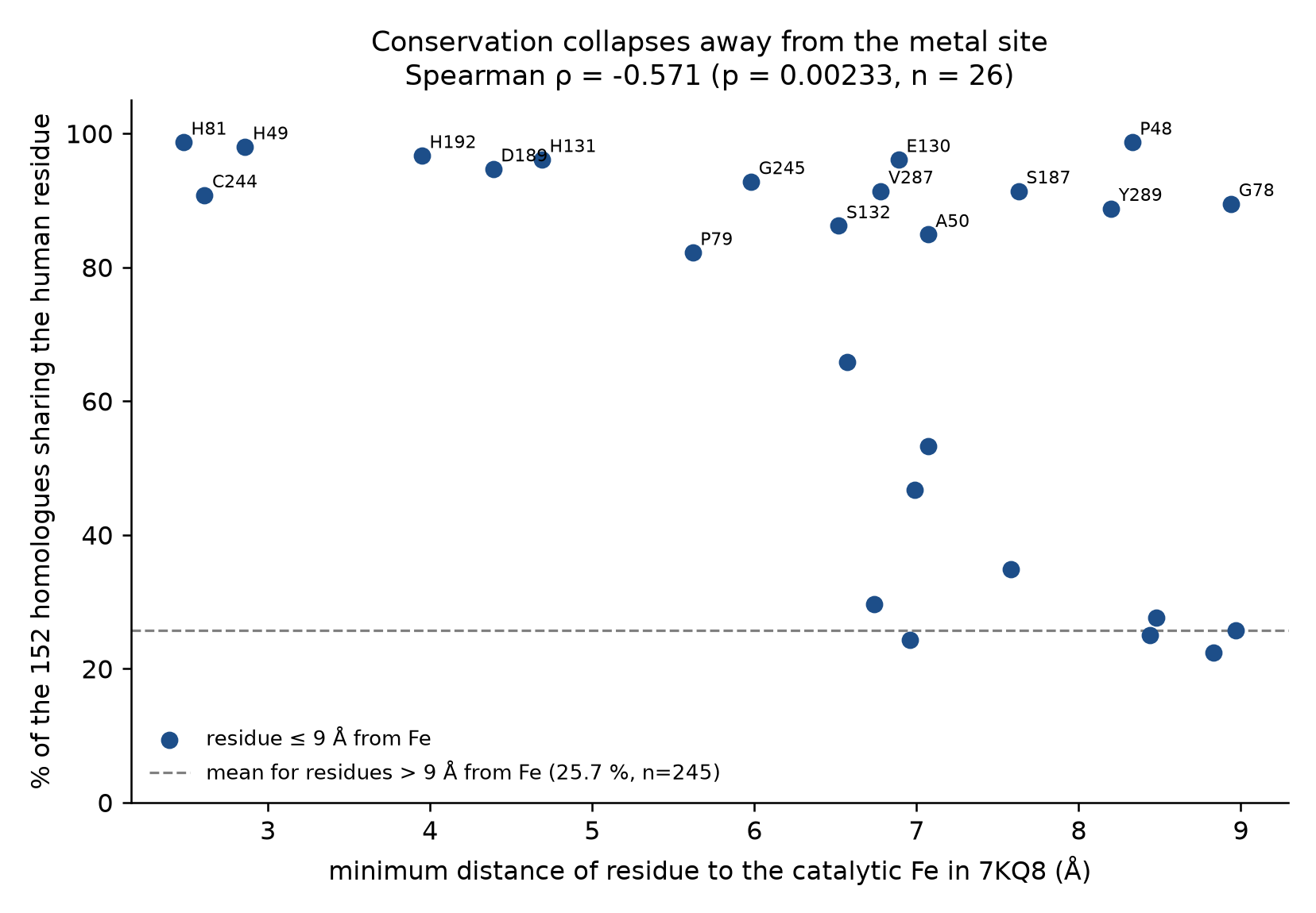 Per-residue conservation vs distance to the catalytic Fe (Spearman ρ = −0.571).
