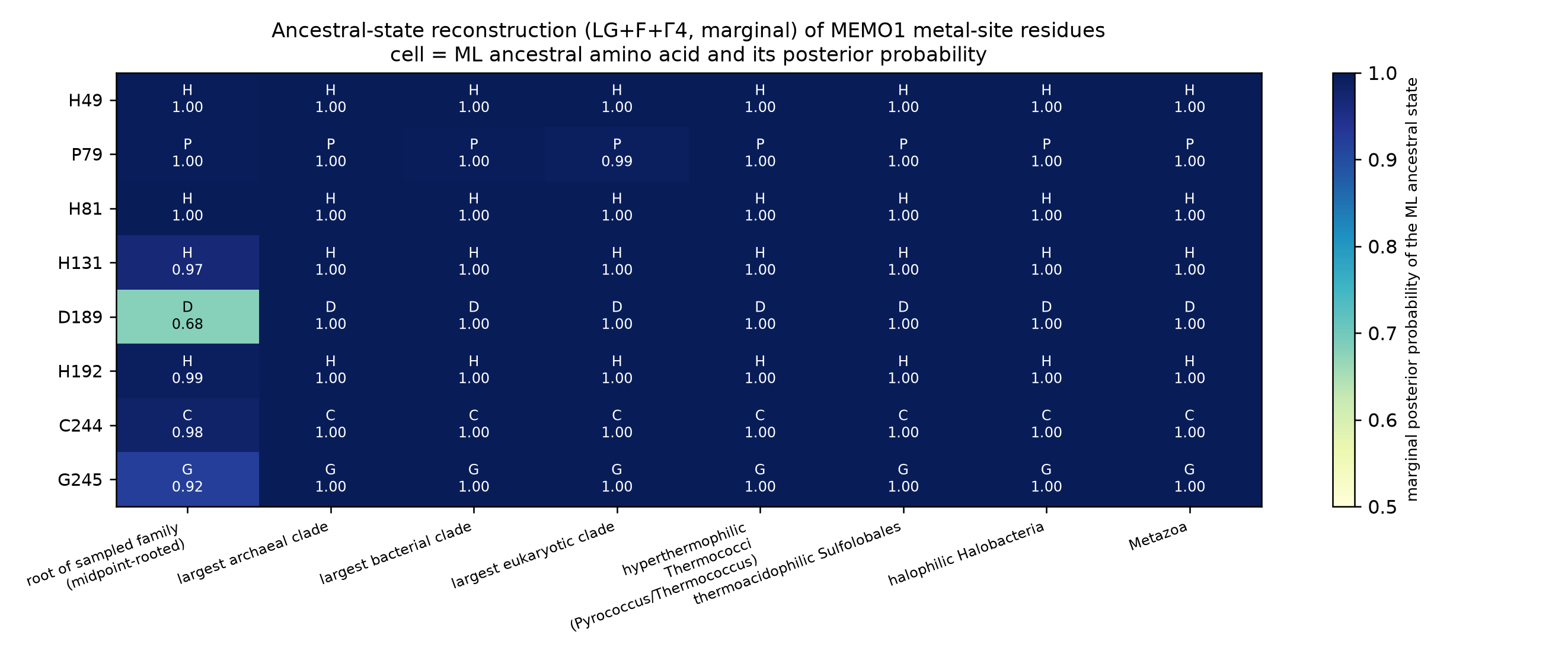 ML ancestral amino acid and posterior probability for each key residue at eight ancestral nodes.