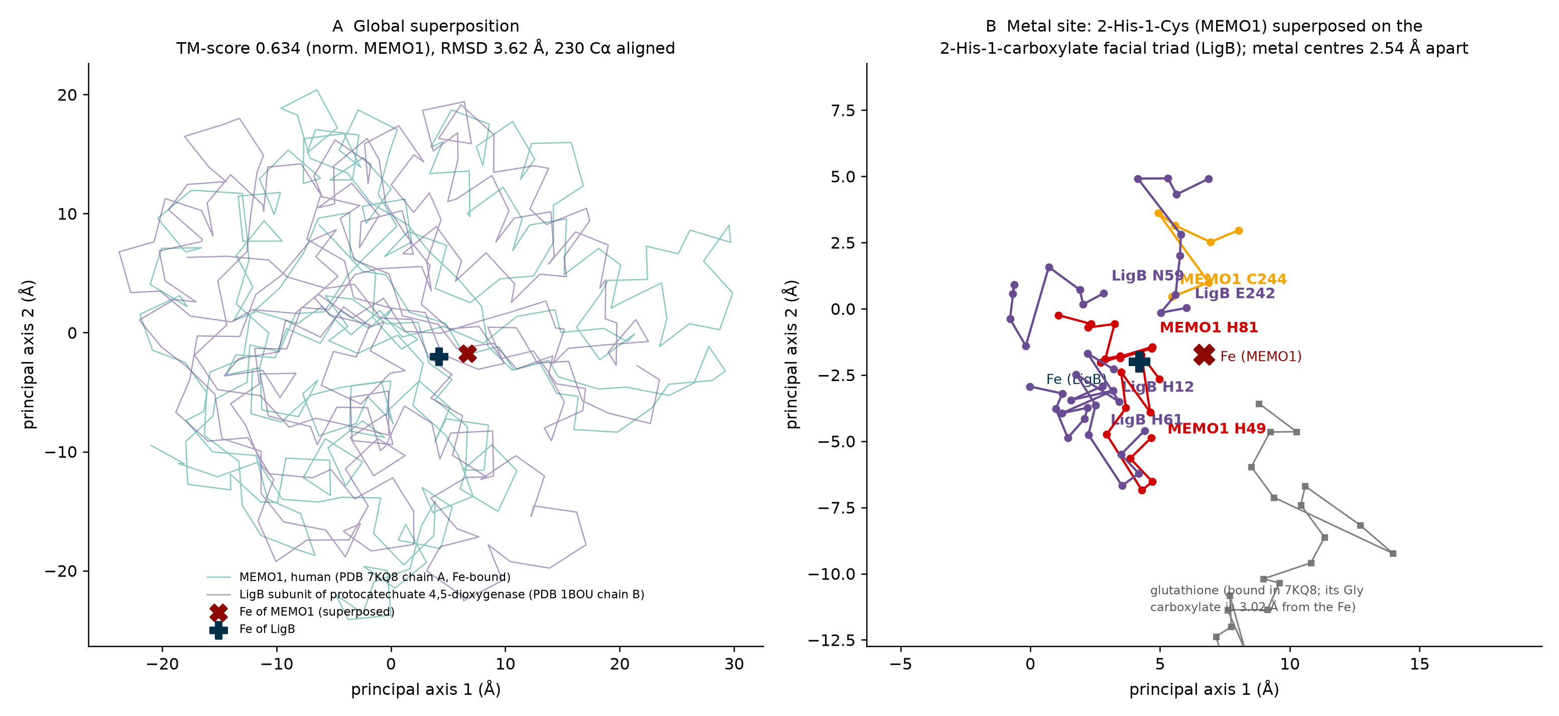 TM-align superposition of MEMO1 on the LigB dioxygenase subunit; zoom on the metal site.